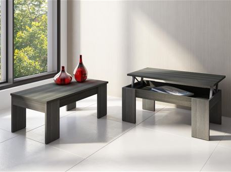 1015 - Modern Center Table With Storage