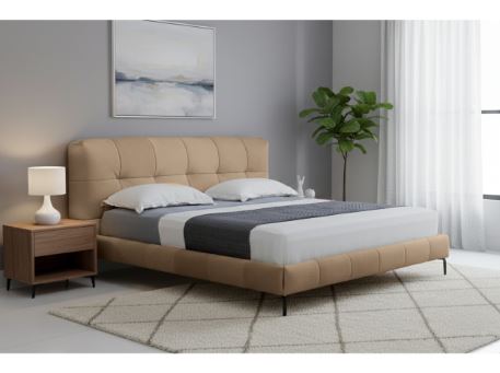 NEO-Double Leather Bed 
