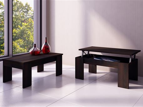 1015 - Modern Center Table With Storage