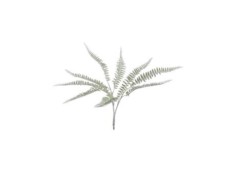 80186 - Branch Fern Plastic Light Green