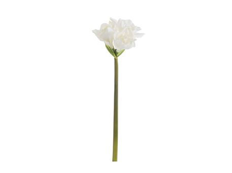 83301 - Amaryllis Fresh Touch Plastic White Large